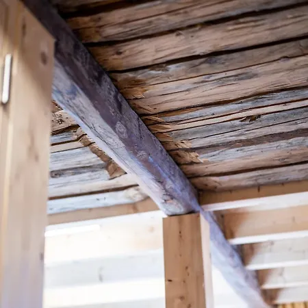 Bijoux In The Swiss Mountains Vna