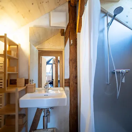 Chalet Bijoux In The Swiss Mountains