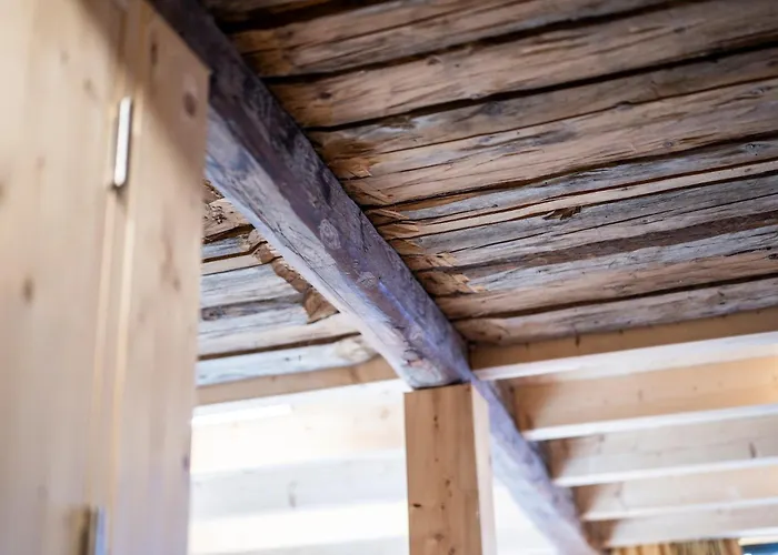 Bijoux In The Swiss Mountains Vna